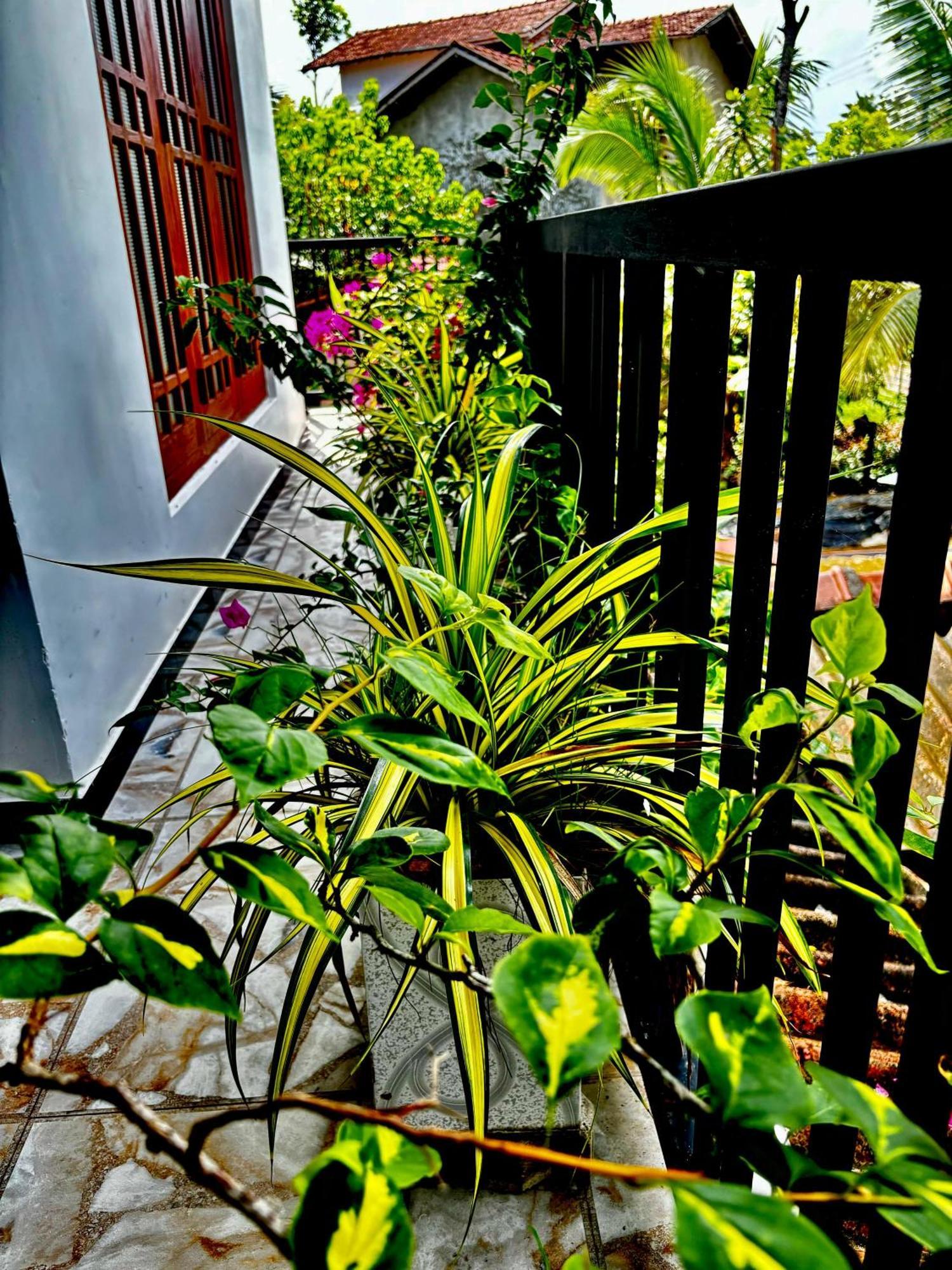 Fourcoock Villa Kosgoda Exterior foto